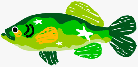 animation différents coloris poisson sam